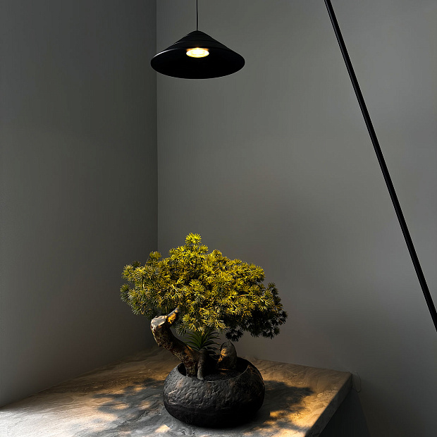 Skarlat  RLL8109 10W BK 3000K