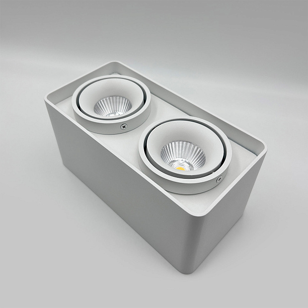 Skarlat RSLC78005 2*10W WH 4000K