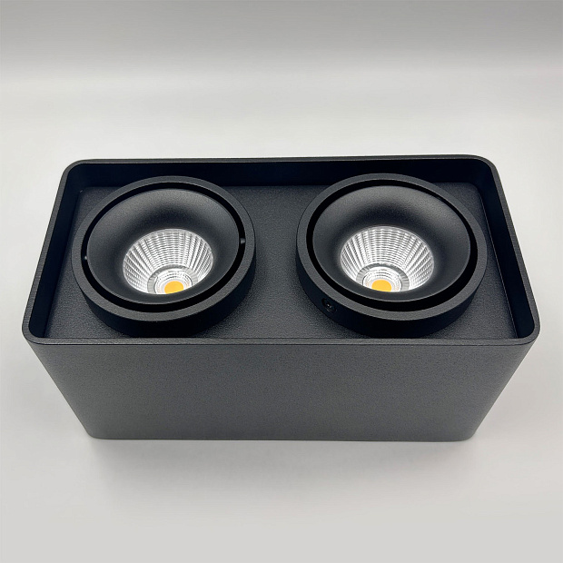 Skarlat RSLC78005 2*10W BK 4000K