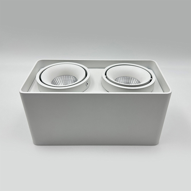 Skarlat RSLC78005 2*10W WH 3000K