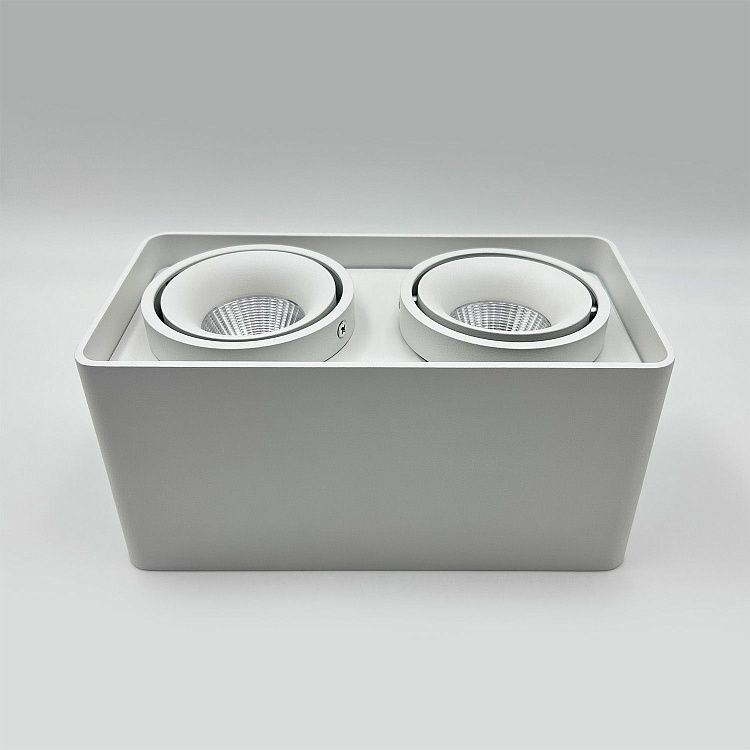 Skarlat RSLC78005 2*10W WH 3000K