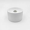 Skarlat RSLC78042 20W WH 3000K-1