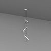 Skarlat  RSL74248-3 3x7W WH+BK 3000K