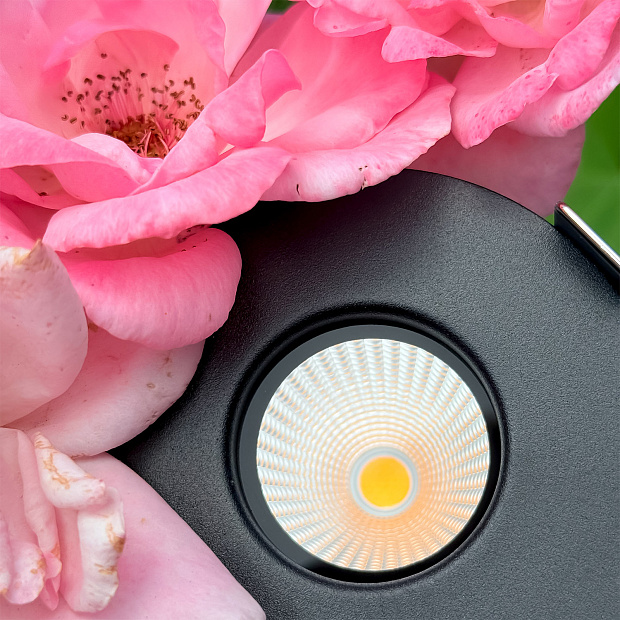 Skarlat RSL74249 10W BK 3000K