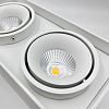 Skarlat RSLC78005 2*10W WH 4000K-1