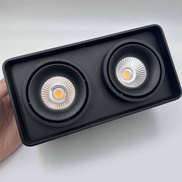 Skarlat RSLC78005 2*10W BK 4000K