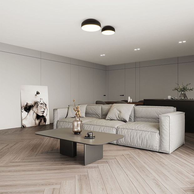 Skarlat RDLC79027 20W BK+WH 4000K